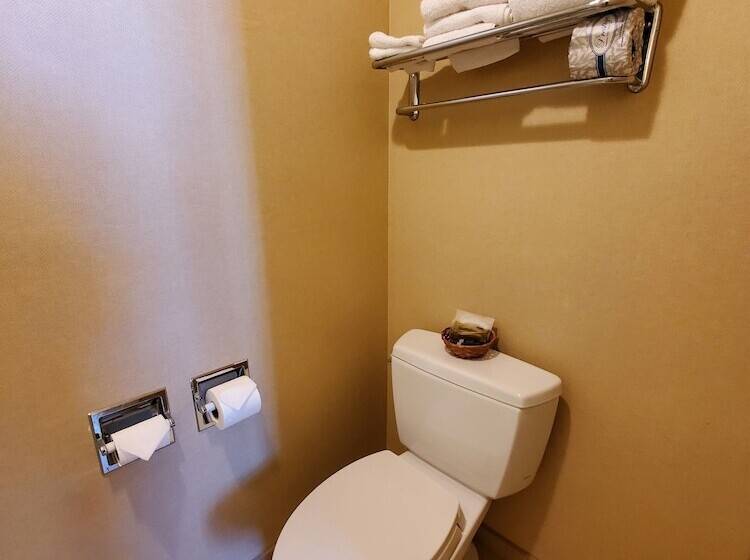 غرفة قياسية سرير مزدوج, Royal Pacific Motor Inn