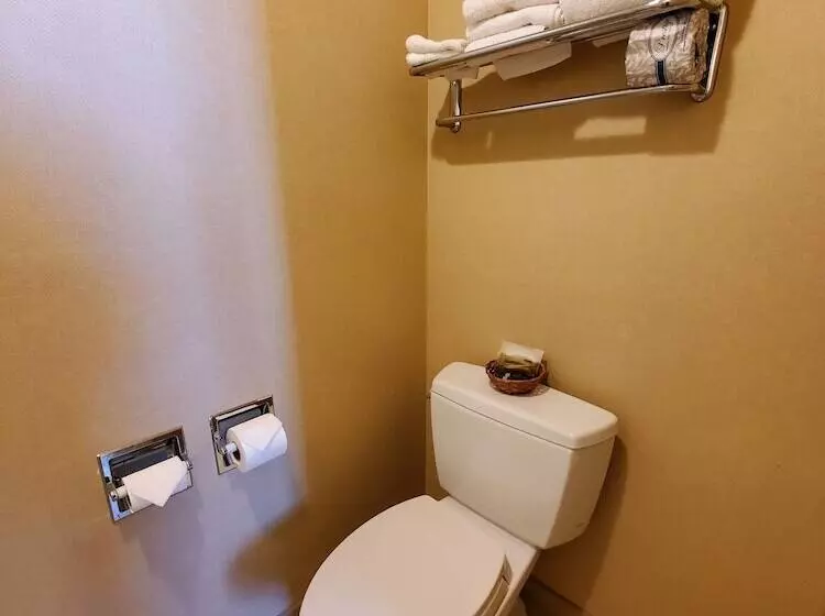 اتاق استاندارد با تخت دوبل, Royal Pacific Motor Inn