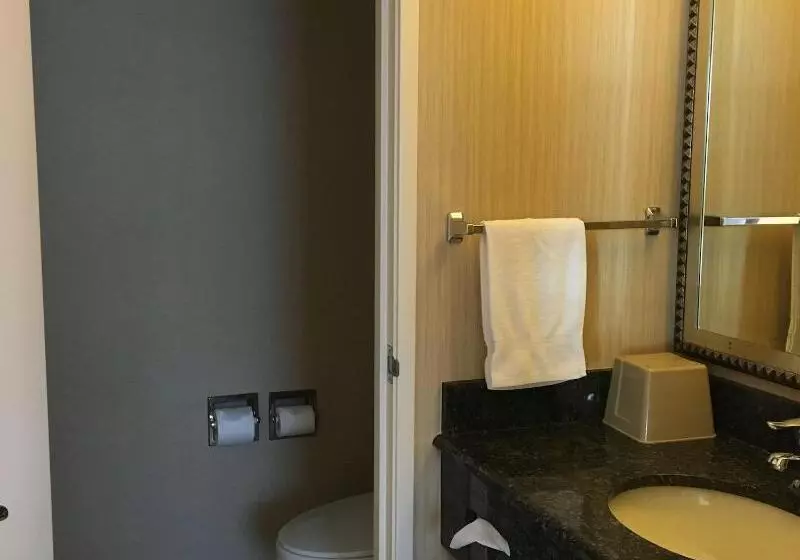 اتاق استاندارد با تخت بزرگ, Royal Pacific Motor Inn