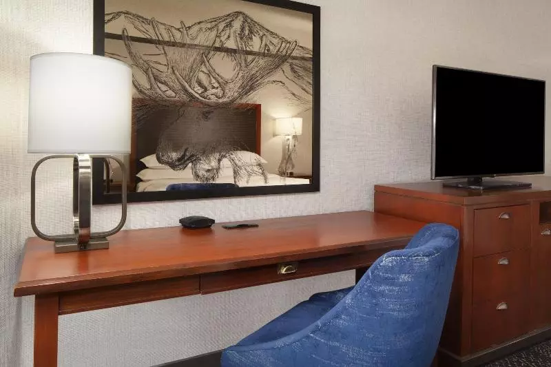 اتاق استاندارد با تخت بزرگ برای معلولان, Sheraton Anchorage