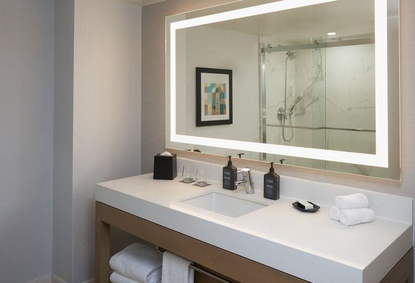 带2个双人床的标准工作室, Sheraton Pittsburgh Hotel At Station Square