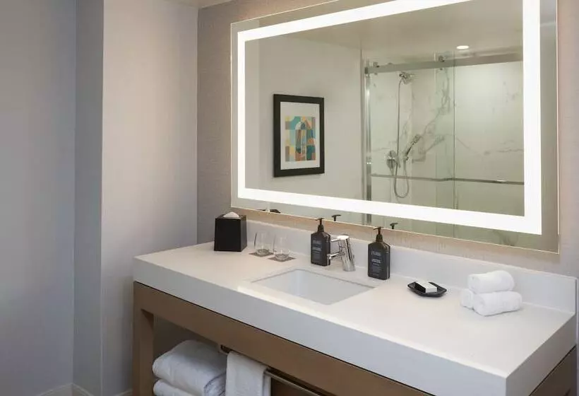 اتاق استاندارد با 2 تخت دوبل, Sheraton Pittsburgh Hotel At Station Square