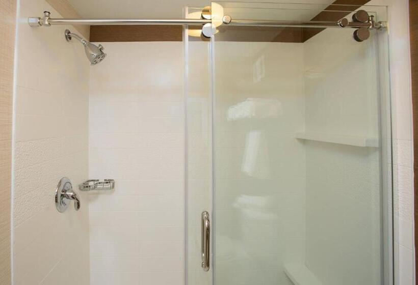 اتاق استاندارد با تخت بزرگ برای معلولان, Fairfield Inn Manchesterboston Regional Airport