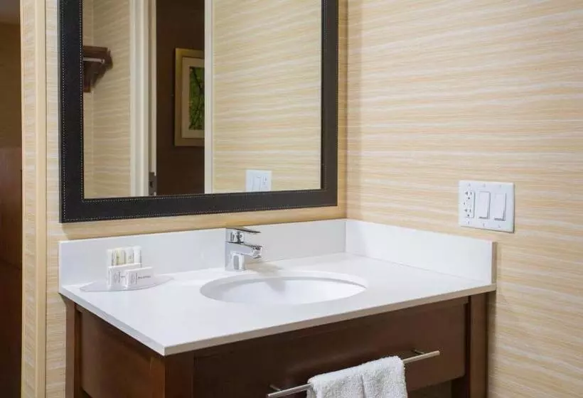 اتاق استاندارد با تخت بزرگ برای معلولان, Fairfield Inn Manchesterboston Regional Airport