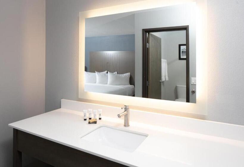 غرفة قياسية سرير كينج, 28 Boise Airport, Ascend Hotel Collection