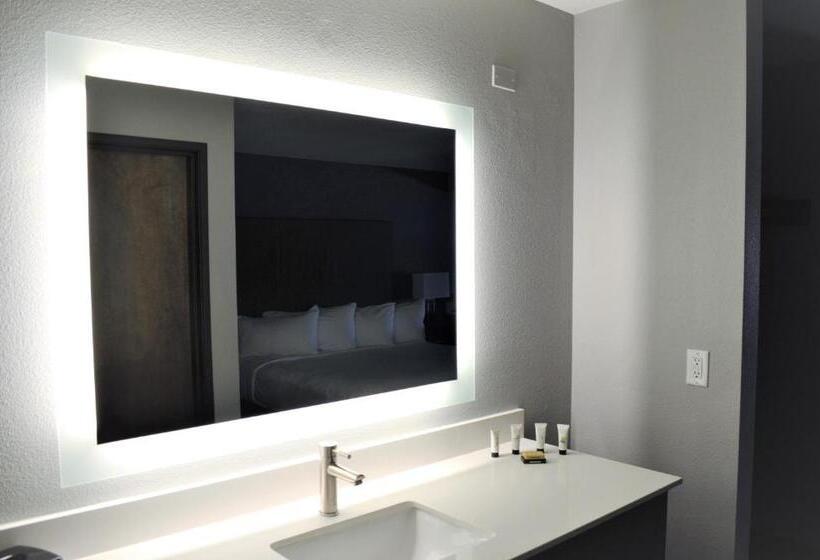 غرفة قياسية سرير كينج, 28 Boise Airport, Ascend Hotel Collection