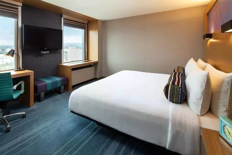 اتاق استاندارد با تخت بزرگ, Aloft San Francisco Airport