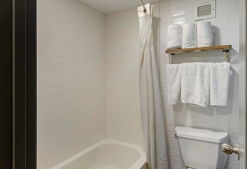 Номер Стандарт 2 Двуспальные Кровати, Best Western Plus Executive Hotel Richmond