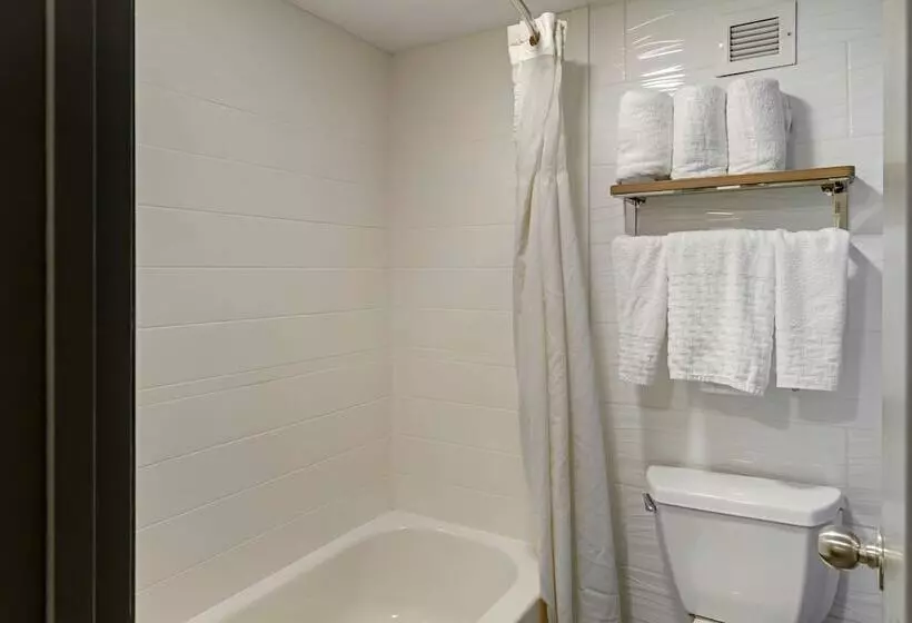اتاق استاندارد با 2 تخت دوبل, Best Western Plus Executive Hotel Richmond