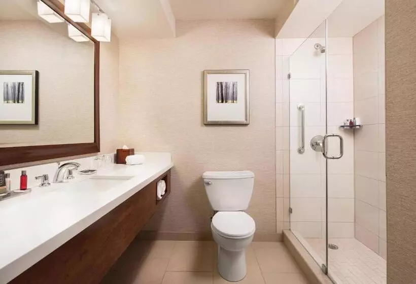キングサイズベッドのスタンダードルーム, Chicago Marriott Naperville