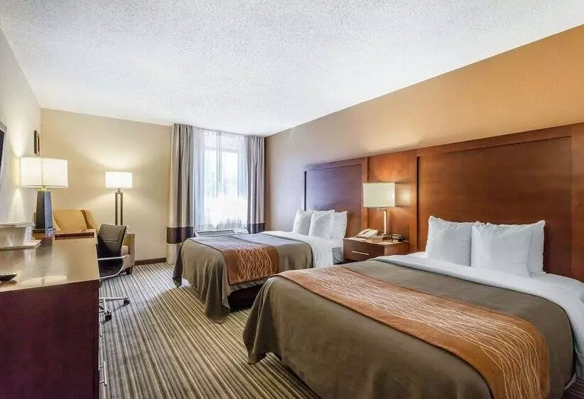 ２ダブルベッドのスタンダードルーム, Comfort Inn  Hall Of Fame