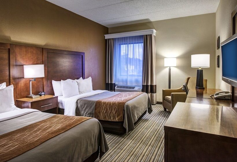 ２ダブルベッドのスタンダードルーム, Comfort Inn  Hall Of Fame