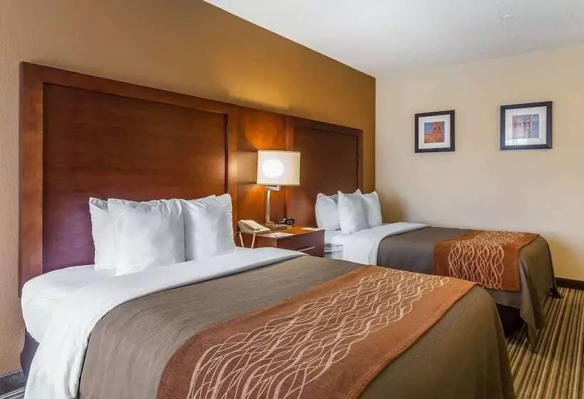 ２ダブルベッドのスタンダードルーム, Comfort Inn  Hall Of Fame