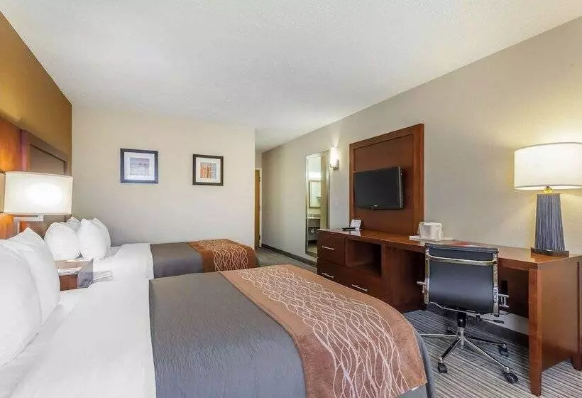 ２ダブルベッドのスタンダードルーム, Comfort Inn  Hall Of Fame