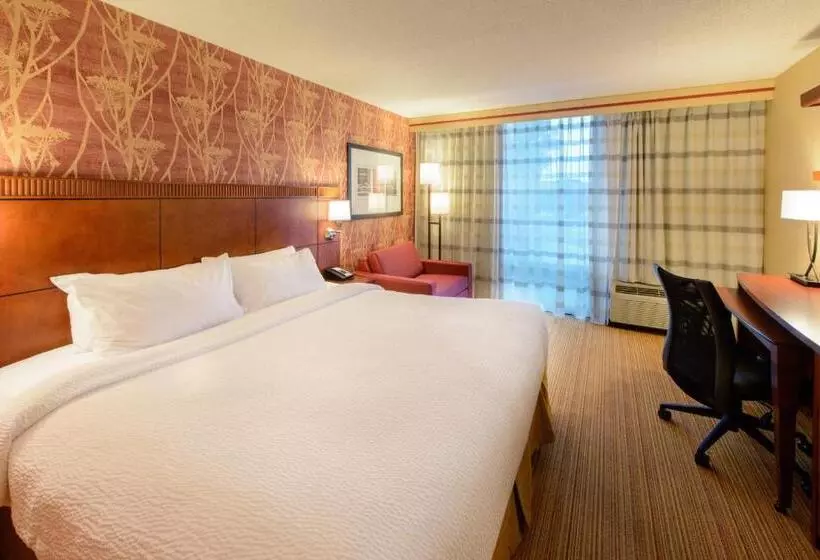 اتاق استاندارد با تخت بزرگ, Courtyard By Marriott Canton