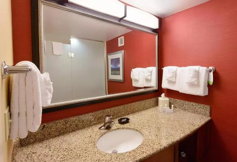 اتاق استاندارد با تخت بزرگ, Courtyard By Marriott Canton
