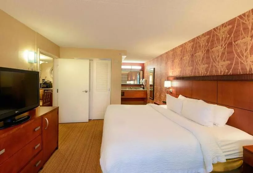 سوئیت با تخت بزرگ, Courtyard By Marriott Canton