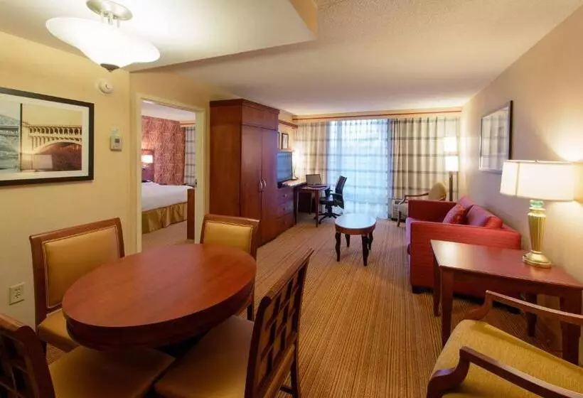 سوئیت با تخت بزرگ, Courtyard By Marriott Canton