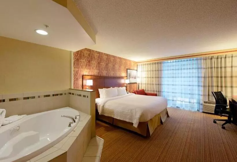 اتاق لوکس با تخت بزرگ, Courtyard By Marriott Canton