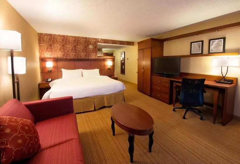 اتاق سوپریور با تخت بزرگ, Courtyard By Marriott Canton