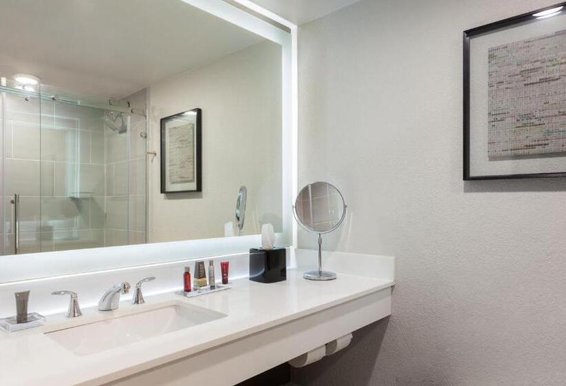 스탠다드 룸, Marriott Tampa Westshore