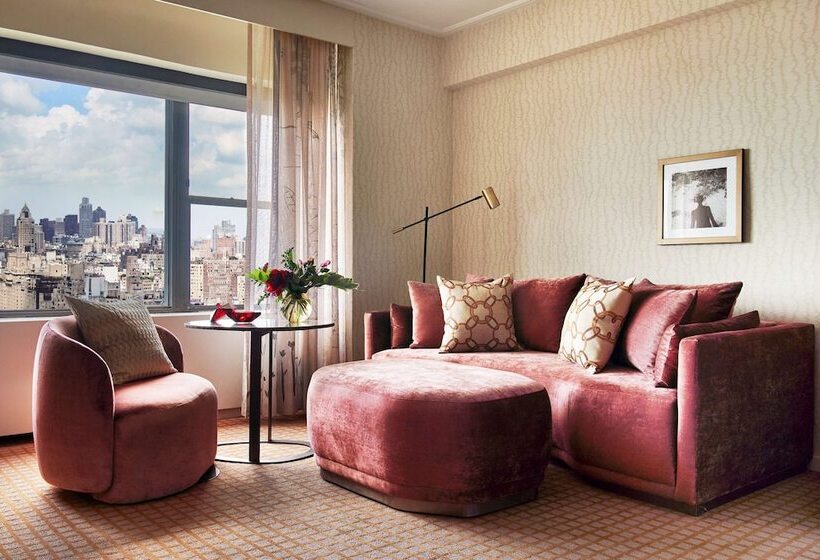 带双人床的标准工作室, Park Lane New York