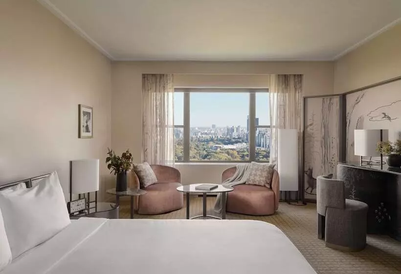 Standard-studio Parivuode, Park Lane New York