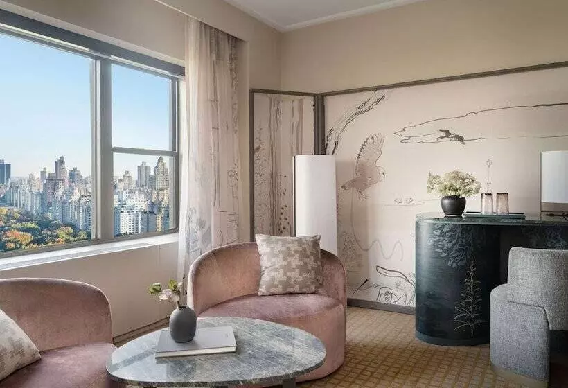 Standard-studio Parivuode, Park Lane New York