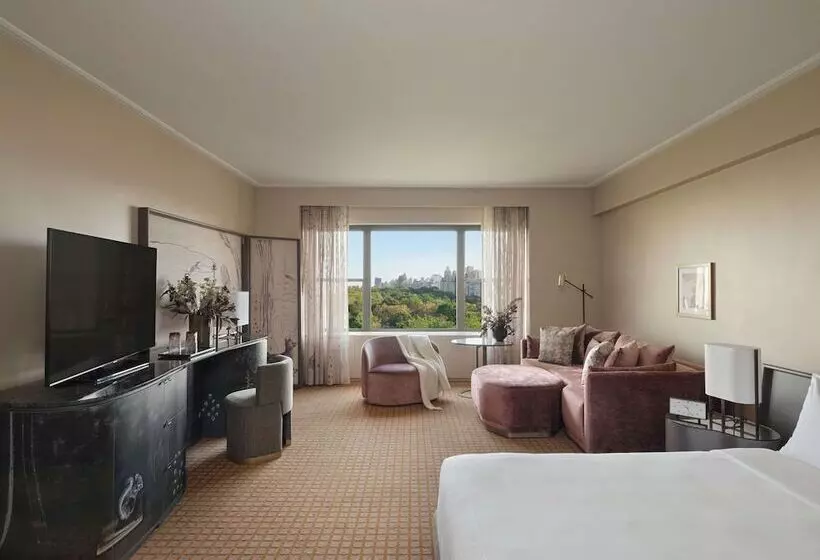 Standard-studio Parivuode, Park Lane New York