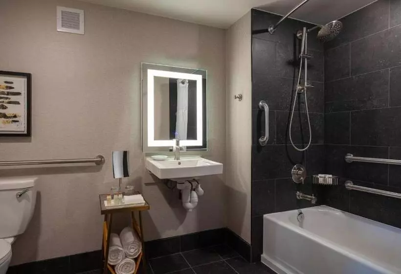 身障者適用スタンダードルーム, Renaissance Chicago North Shore