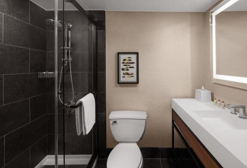 اتاق استاندارد برای معلولان, Renaissance Chicago North Shore