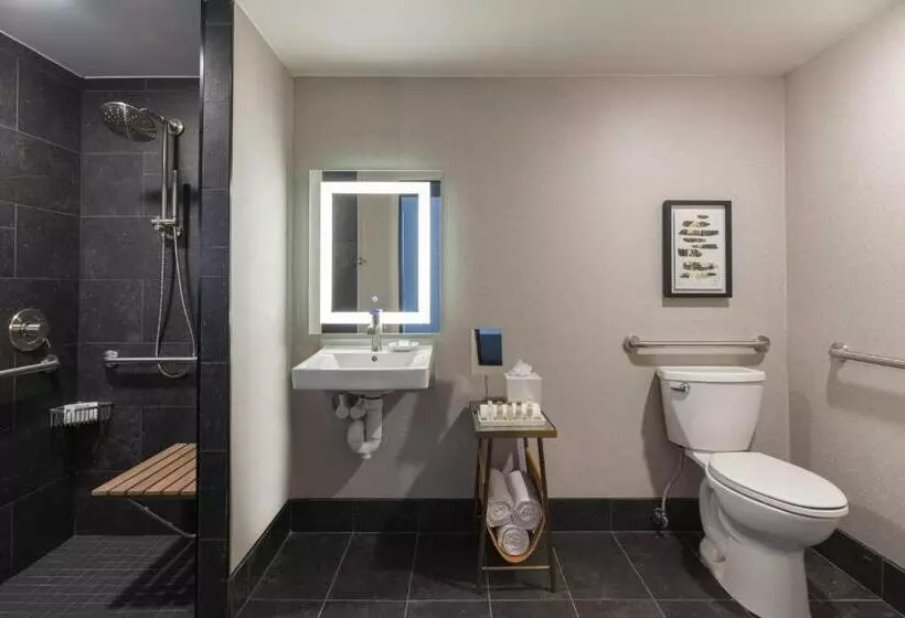 身障者適用スタンダードルーム, Renaissance Chicago North Shore