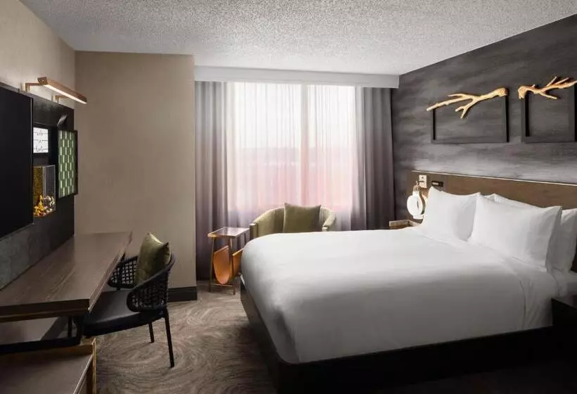 身障者適用スタンダードルーム, Renaissance Chicago North Shore