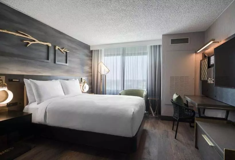 身障者適用スタンダードルーム, Renaissance Chicago North Shore