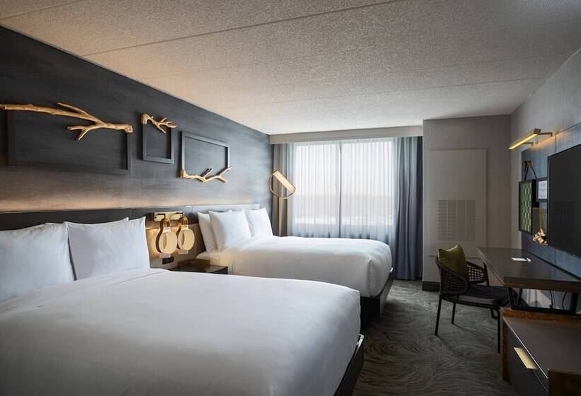 اتاق استاندارد با 2 تخت دوبل, Renaissance Chicago North Shore