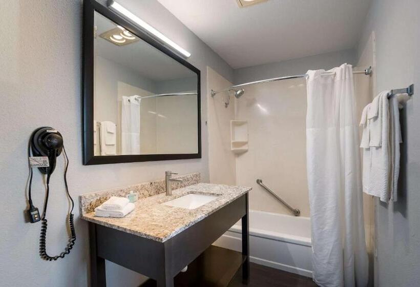 غرفة قياسية سرير ملكى لذوى الإحتياجات الخاصة, Richland Riverfront Hotel, Ascend Hotel Collection