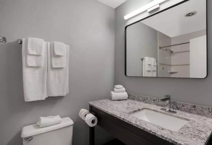 Sviitti King-vuode, Richland Riverfront Hotel, Ascend Hotel Collection