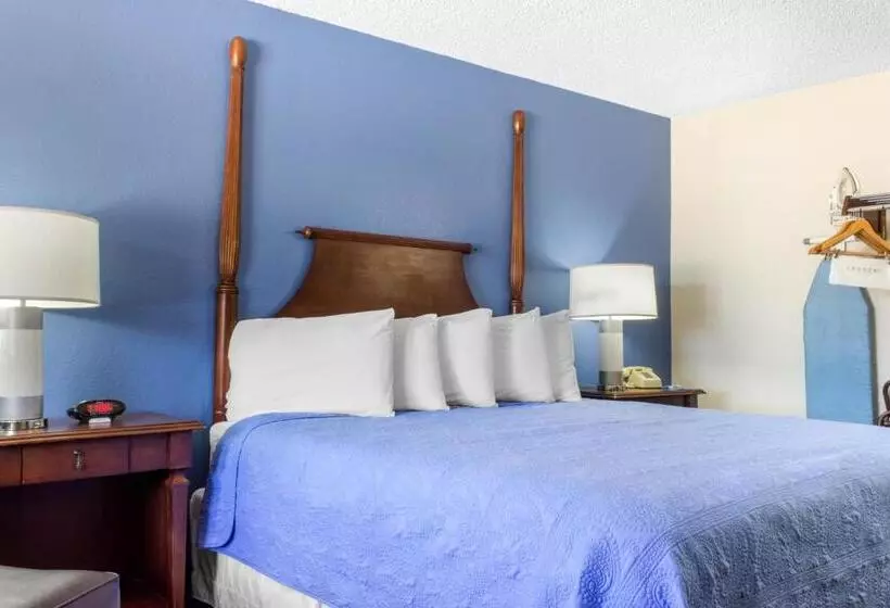 اتاق استاندارد با تخت بزرگ, Rodeway Inn Near Ft Huachuca