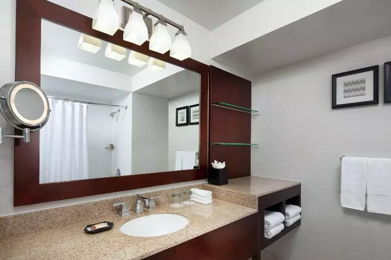 اتاق استاندارد با تخت بزرگ, Sheraton San Jose