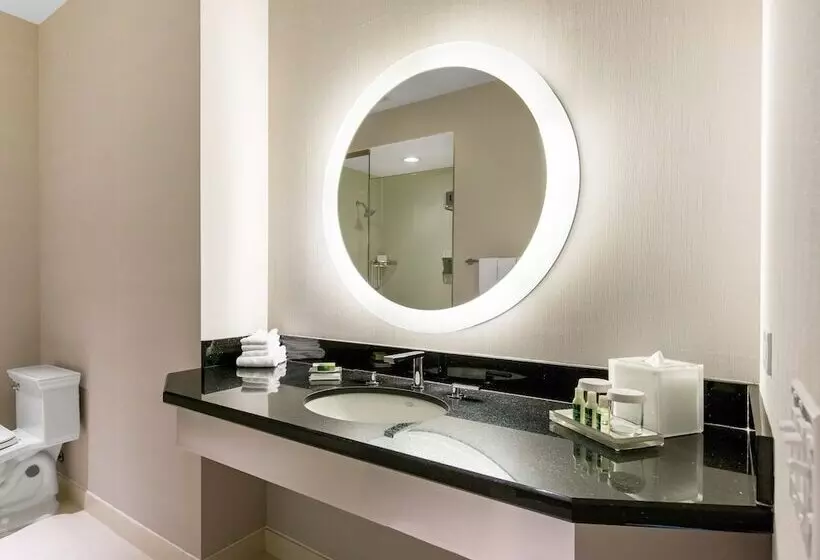 اتاق لوکس, The Chicago Hotel Collection Magnificent Mile