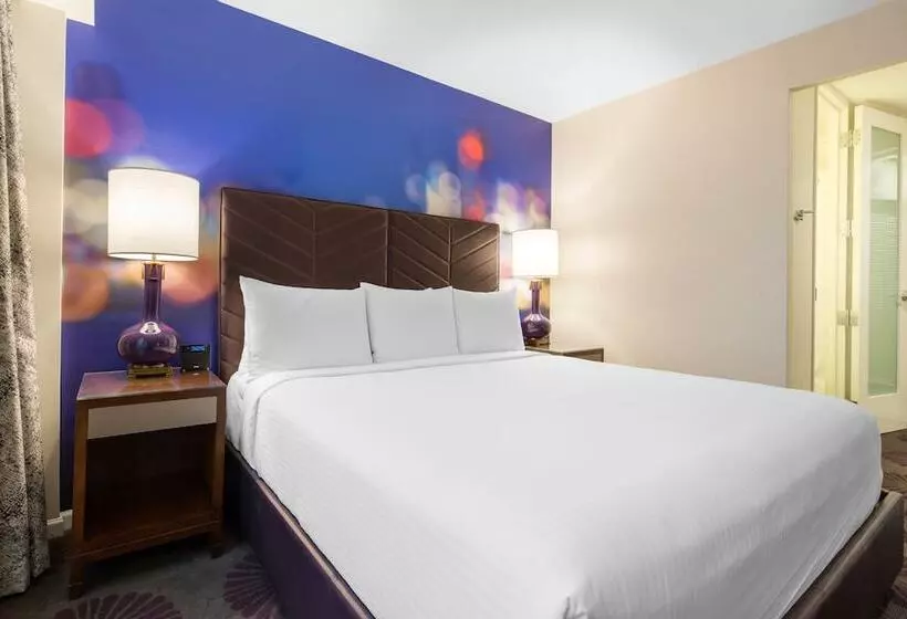 اتاق دلوکس مخصوص معلولین, The Chicago Hotel Collection Magnificent Mile