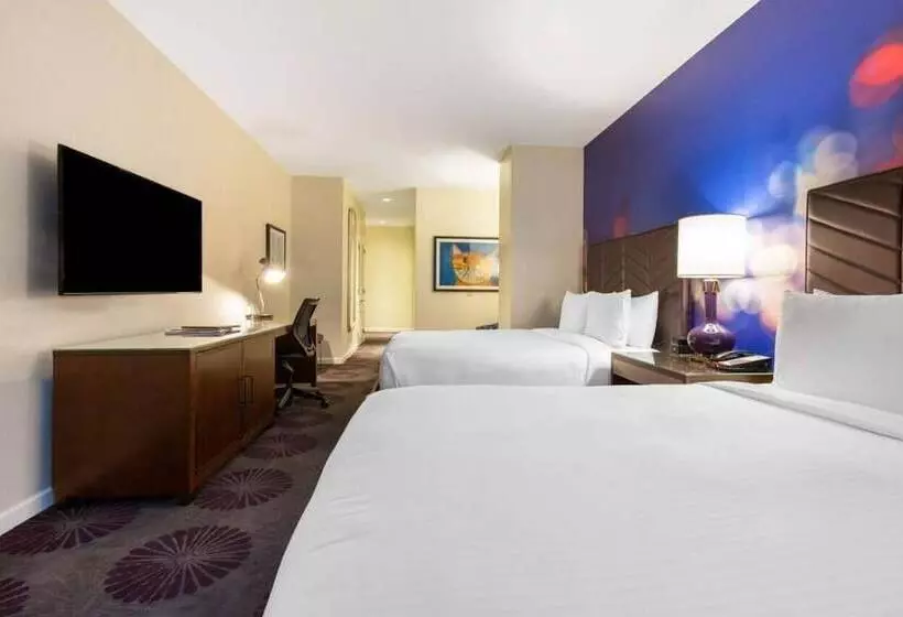 اتاق دلوکس مخصوص معلولین, The Chicago Hotel Collection Magnificent Mile