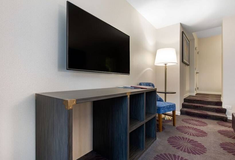 适用于残疾人士的豪华房间, The Chicago Hotel Collection Magnificent Mile