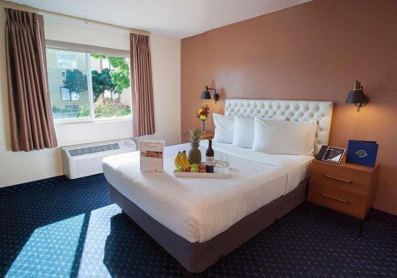 デラックスルーム, Focus Sfo