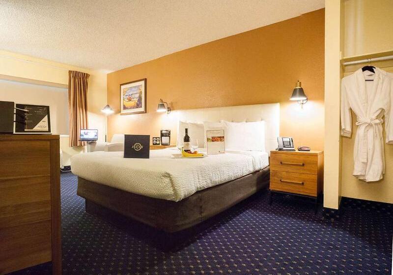 デラックスルーム, Focus Sfo