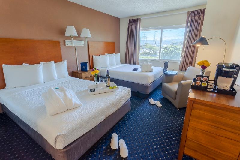 デラックスルーム, Focus Sfo