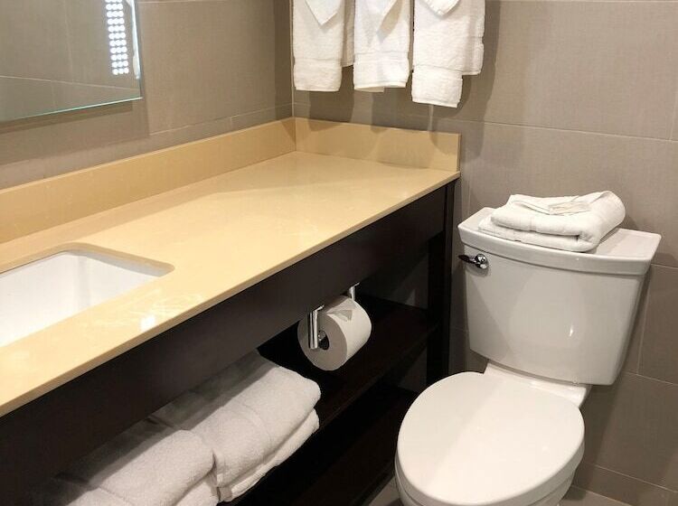 풀장 전망 디럭스 룸, Wyndham Lancaster Resort And Convention Center