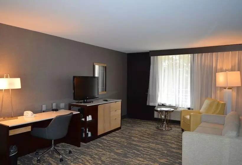 سوییت لوکس, Wyndham Lancaster Resort And Convention Center