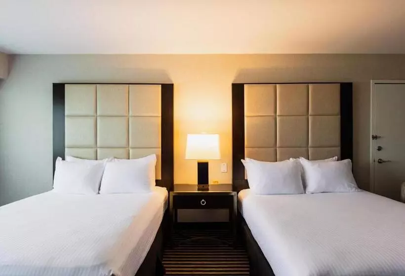 デラックスルーム, Apa Hotel Woodbridge