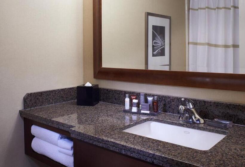 带大床的标准间, Detroit Marriott At The Renaissance Center